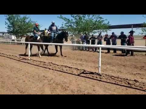 Un saludo a la caballada de carril Los Alamitos.