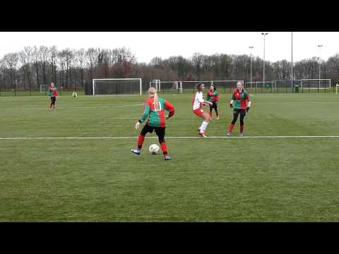 Zuidvogels MC1 - IJsselmeervogels MC1 - 01-02-2014 (Combinatie, voorzet, kans)