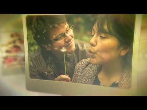 Sunflower studio video.