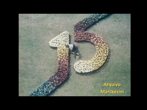 New Year's Eve Vignette - Globo (1979)