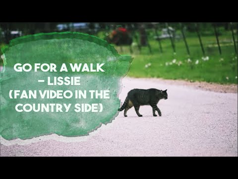 Go For a Walk - Lissie