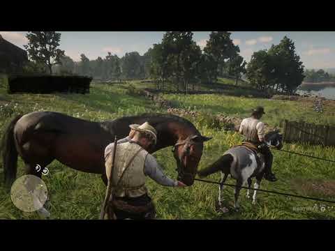 Free Dark Bay Turkoman in Chapter 3 “Horse Flesh For Dinner”