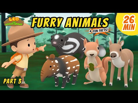Furry Animals (Part 3/5) - Exciting & Educative Animals Stories for Kids | Leo the Wildlife Ranger