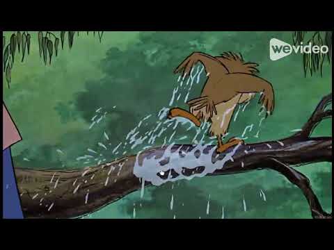 Jackladdin Sparrow - Inside the Devon and Cornwall's Lamp