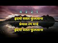 Hridayi Vasant Fultana Karaoke With Lyrics Scale B Minor