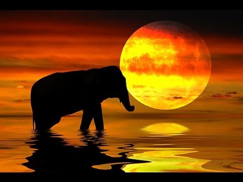 Kukangherita Soundsystem - Dub to Africa (Moon Mix) [Visualization]