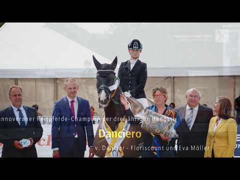 Hannoveraner Reitpferde-Championat 2019 - Dreijährige Hengste: Danciero