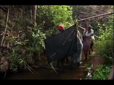 Ibogaine: Rite of Passage