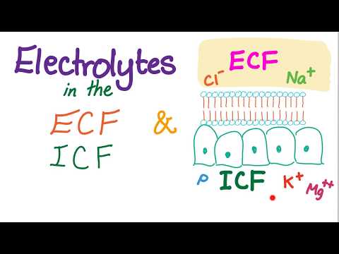 Electrolytes in the ECF and ICF