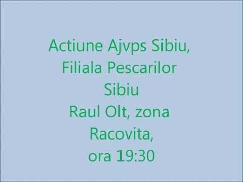 plasa racovita 19.04.2012.