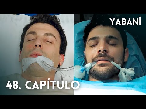 Chapter 48 Wild / Yabani #Turkishnovelas #Turkishseries / #series #Turkishseries / In Spanish