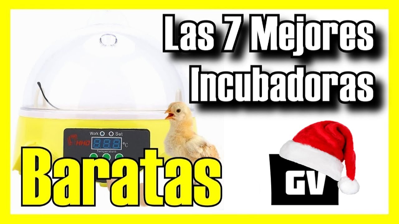 🐣 Las 7 MEJORES Incubadoras BARATAS de Amazon [2023]✅[Calidad/Precio] De pollos y huevos automáticas