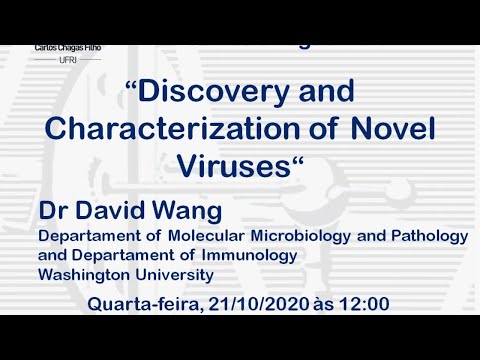 Discovery and Characterization of Novel Viruses