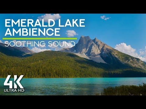 8 HOURS Emerald Lake Birds Chirping - Birds & Gentle Lake Sounds to Calm Down and Relax