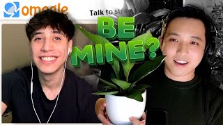 Flirting guys with my Plant on Omegle