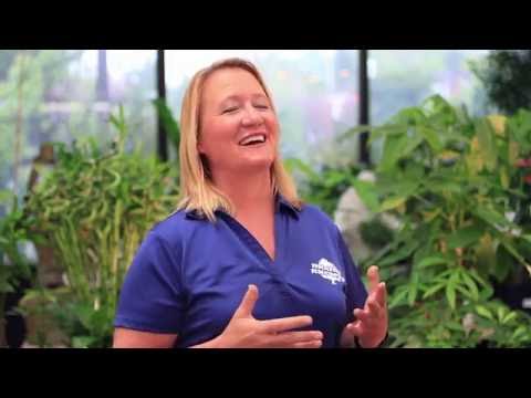 Understanding Microclimates in Northern Nevada