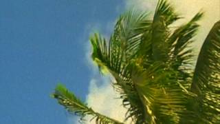 Woke Up On The Move - Arbouretum(video by Matthew Pierce)