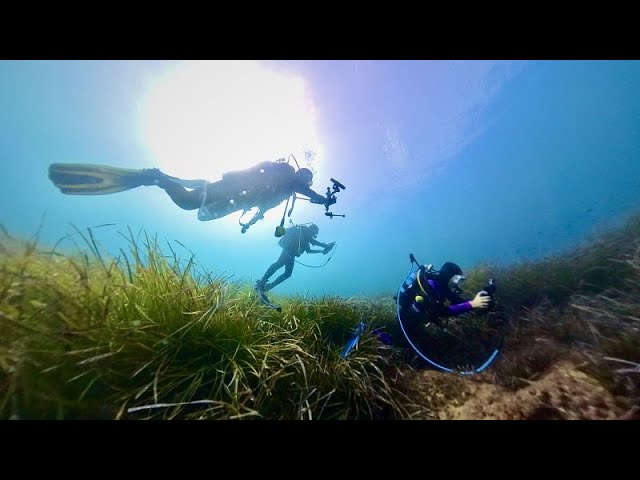 Underwater Wi-Fi: European startups woo investors