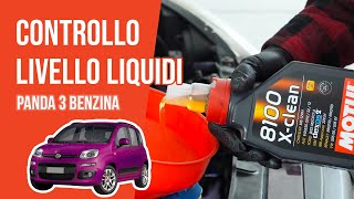 Youtube thumbnail of video "Controllo e rabbocco livello liquidi Panda 3 1.2 8V 📏"