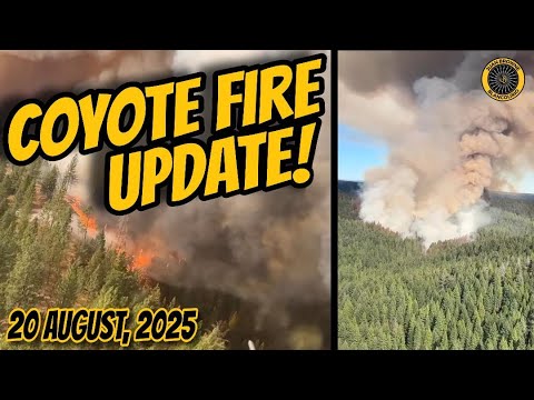 'Coyote' Fire UPDATE 8/21