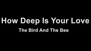 The Bird and the Bee - How Deep Is Your Love (Karaoke)