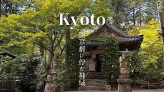 猿丸神社 森に包まれた奥京都の神域  Kyoto Sarumarujinja Shrine: A Sacred Sanctuary Hidden Deep in Kyoto’s Forests