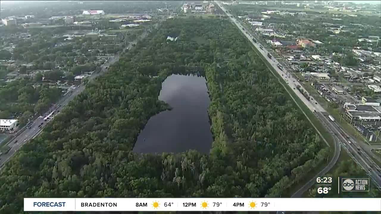 Walking Club: Exploring Al Lopez Park in Tampa