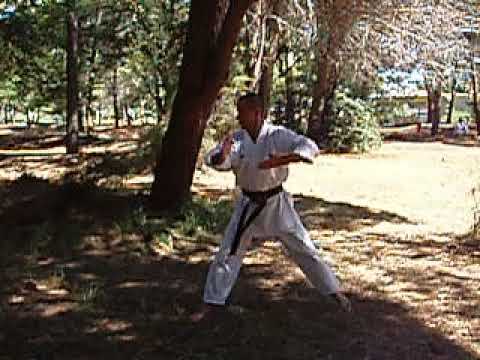 AOYAGI   Shito Ryu
