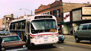 Chicago is My Kind of Town (Especially the Southwest Side)