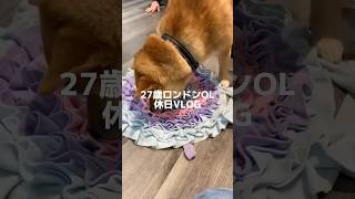 27歳ロンドン勤務OLの休日VLOG🍎 ノッティングヒルと柴犬カフェに行った日　#ロンドン #社会人 #日常vlog #イギリス #海外生活 #しばいぬ #vlog