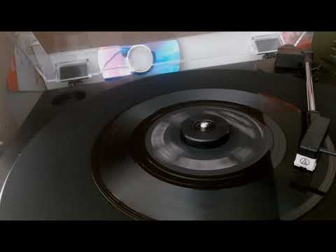 The Trixies - Popsicles And Icicles 1963 Murmaids cover