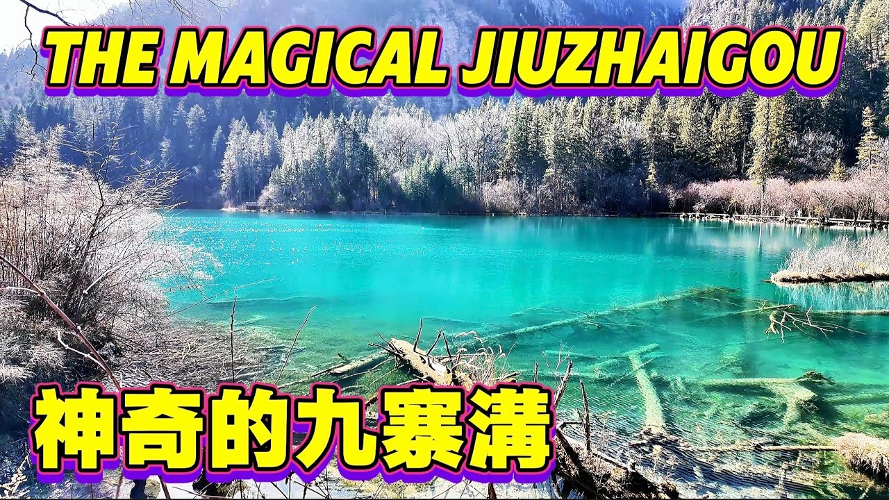 [第11集]#马来西亚人镜头的九寨沟，九寨归来不看水！一步一景的九寨沟，果然名不虚传，美到失语，更多精彩即将发布。#九寨沟旅游