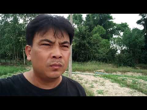 เท่าใดหน้าอกซิลิโคนขนาด 2 วิธีพื้นบ้านเสริมเต้านม
