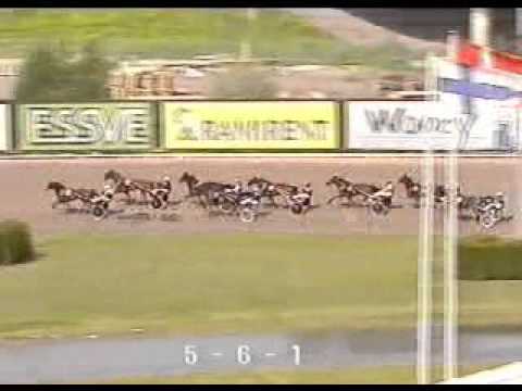 Fyraåringseliten Ston 2005 -Passionate Kemp