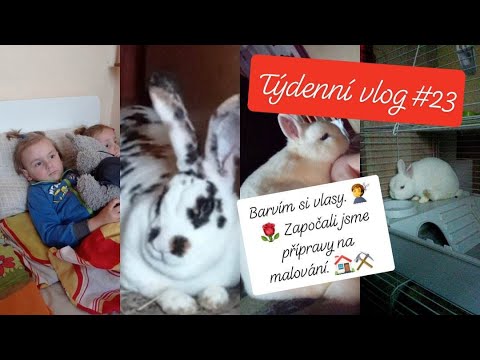 Týdenní vlog #23 Týdenní vlog #23 Barvím si vlasy. 💇🌹 Započali jsme přípravy na malování. ⚒️🏠