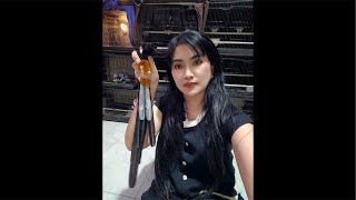 Download lagu LONG-TAILED MURAI BATU PROMO IS EVEN CRAZIER 7-27-2025 mp3