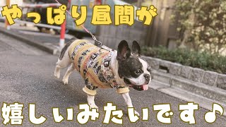 久しぶりの日中お散歩で大興奮😆✨