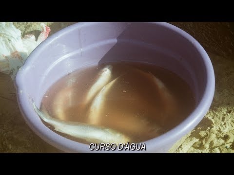 16 - Curso D'água - Makalister & Beli Remour Ft. Lessa Gustavo