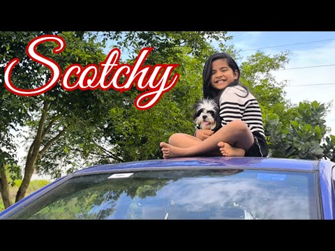 My Best Friend (SCOTCHY)                          #kannada #sahiti #Dog lover #funny #minivlog