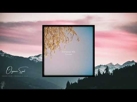 Eric Lune - Harmony Mix