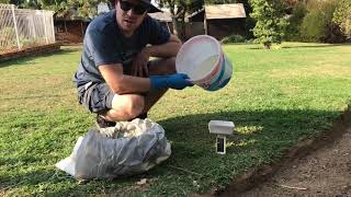 How to fertilize without a spreader/kikuyu lawn/granular fertilizer