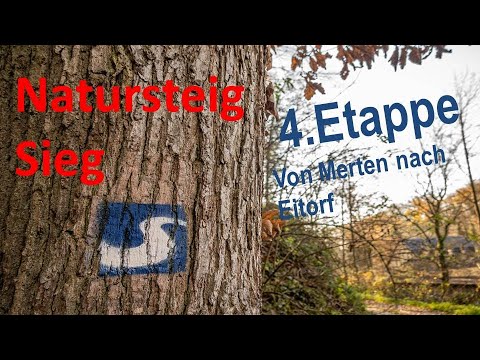 Natursteig Sieg - 4. Etappe - Merten bis Eitorf wandern