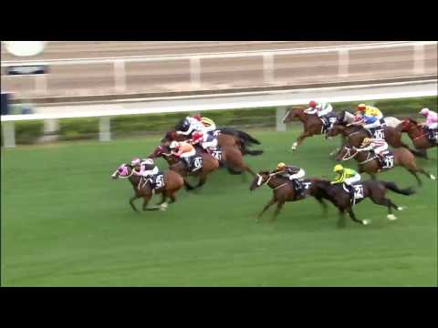 [HKIR 2016] BEAUTY ONLY takes the LONGINES Hong Kong Mile