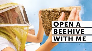 OPEN A BEEHIVE WITH ME | BEEKEEPING 101 | Easy Beekeeping