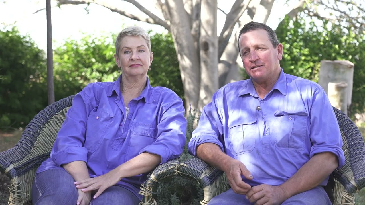 Bull Sale Promotional Video