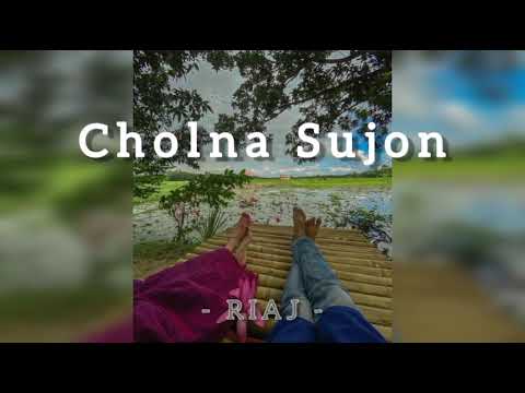 Cholna Sujon || Slowed + Reverb || Bangla Romantic Song || @TigerMediaOfficial @RIAJ