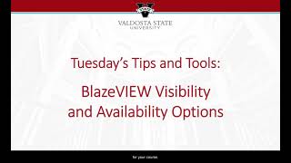 Tips and Tools: Availability and Visibility Dates in BlazeVIEW
