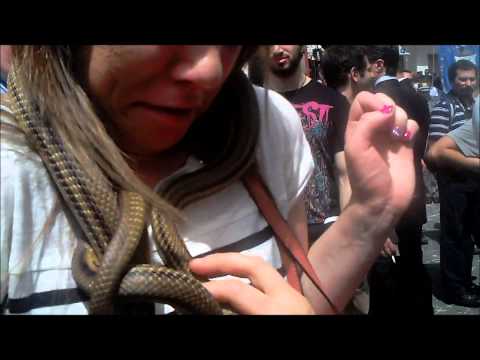 COCULLO 2013 I SERPENTI