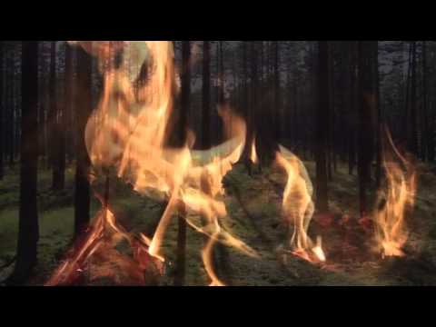 JOSEPH KING - Wchodzisz (Nie pytaj o HD) video 2013