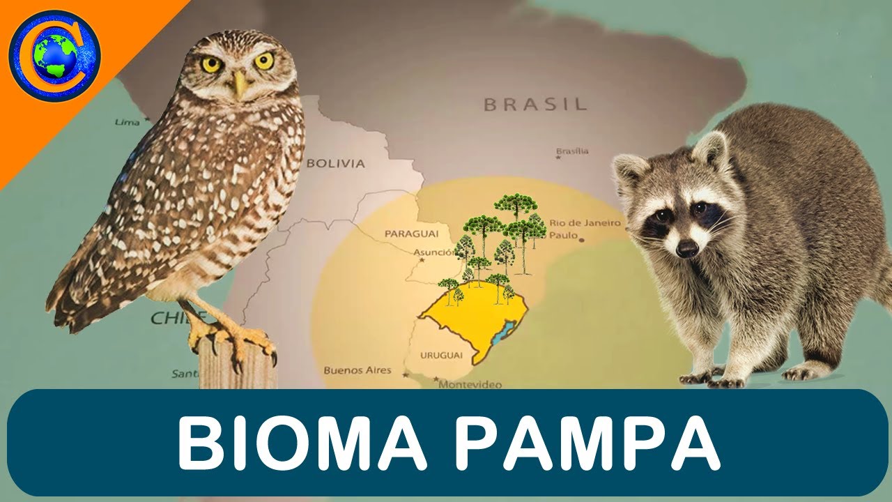 BIOMA PAMPA